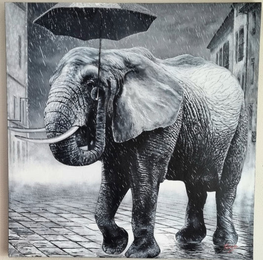 Pintura Cuadro "Liberación"